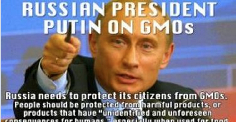 PUTIN-GMO